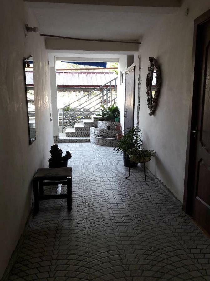 Guest House Kobuleti #788 Екстериор снимка